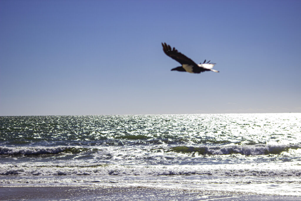 Paysage de Madagascar