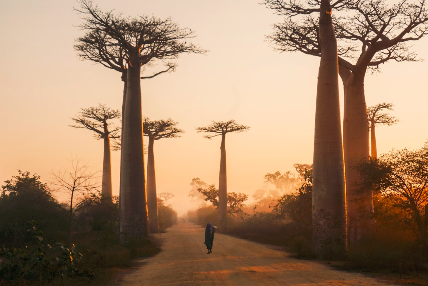 Pourquoi Madagascar est idéale pour les amoureux de la nature